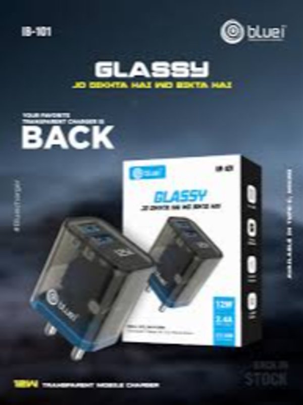 BLUEI IB-101 TYPE-C CHARGER