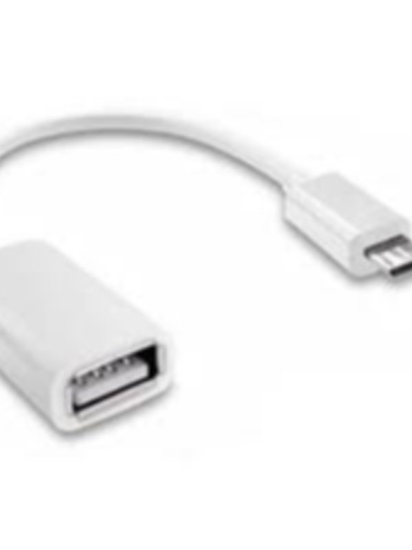 IVON TYPE-C TO LIGHTNING OTG